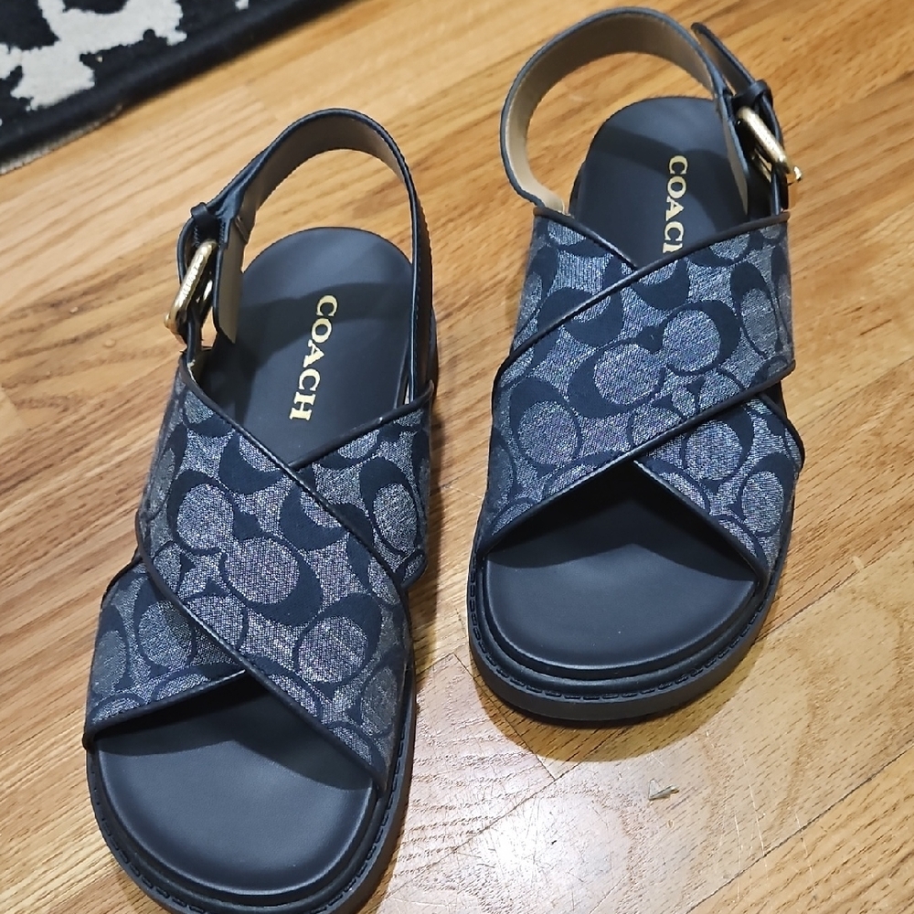 Coach Blue Patterned Sandals